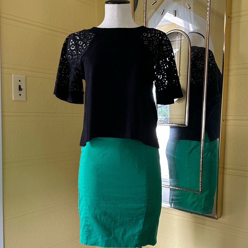 Express Pencil Skirt
